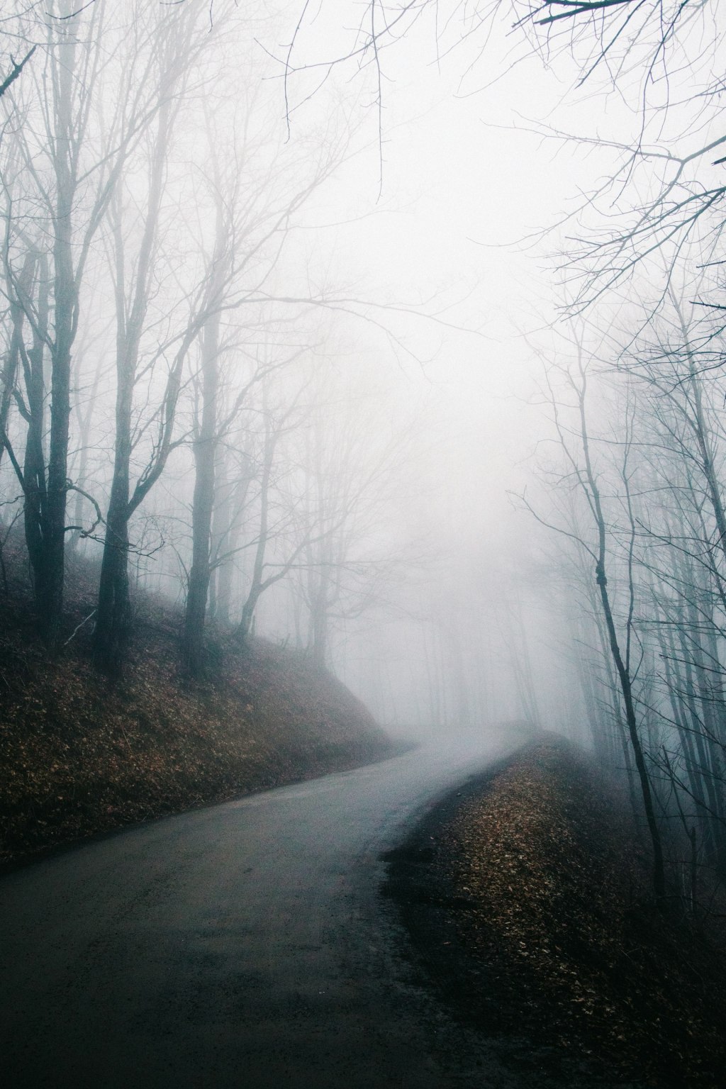 The Quiet Distance