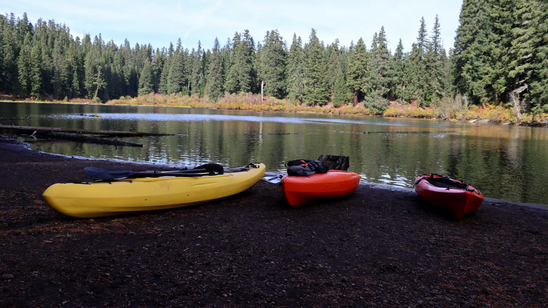 Canoes resting on the shore of a clear northern lake